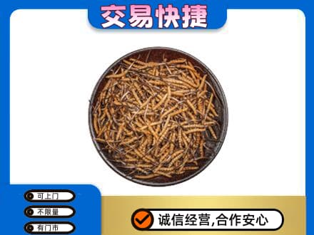 南阳市卧龙回收散虫草